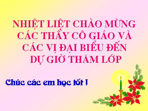 Bài 16. Ôn tập và kiểm tra phần Tiếng Việt