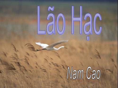 Bài 4. Lão Hạc