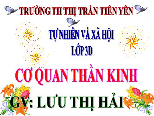 Bài 12. Cơ quan thần kinh