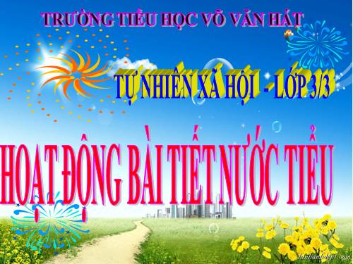 Bài 10. Hoạt động bài tiết nước tiểu