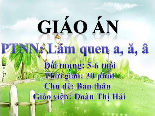 chữ cái a,ă,â