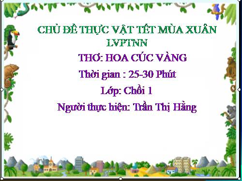 hoa cúc vàng