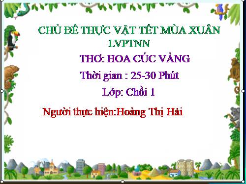 hoa cuc vàng