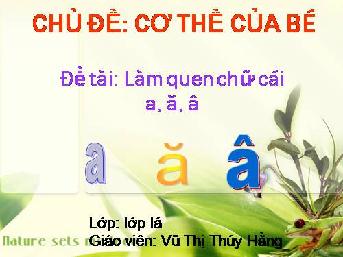 làm quen chữ cái ă â