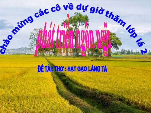 hạt gạo làng ta