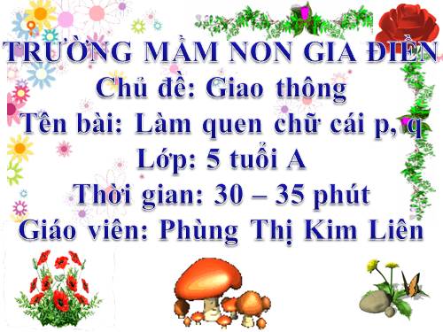 Chữ cái p, q