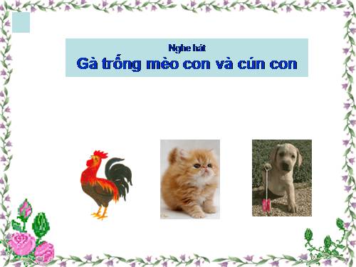 Thơ mèo đi câu cá