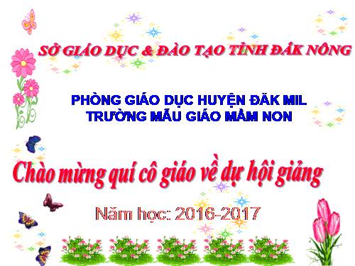 những nghệ sĩ của rừng xanh