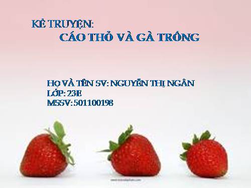 truyen cao thỏ và gà trống