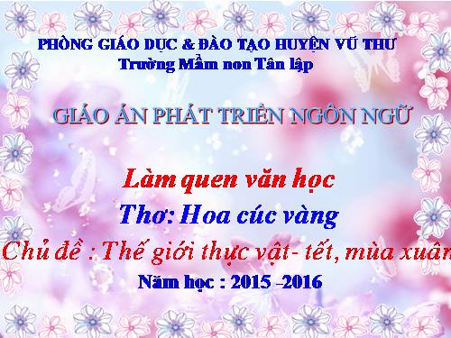 LQVH THƠ: HOA CÚC VÀNG