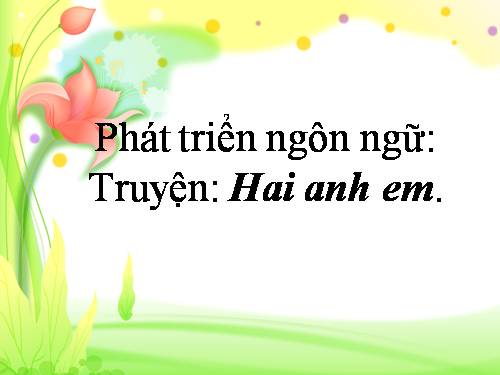 truyện chú hai anh em