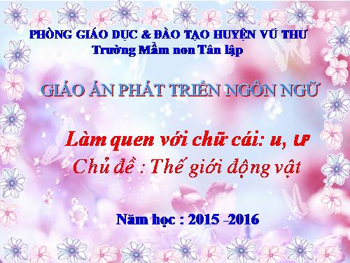 LQCC I, T, C dong vat