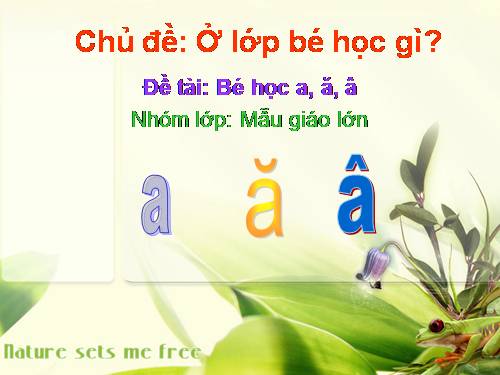 bé học chữ gì