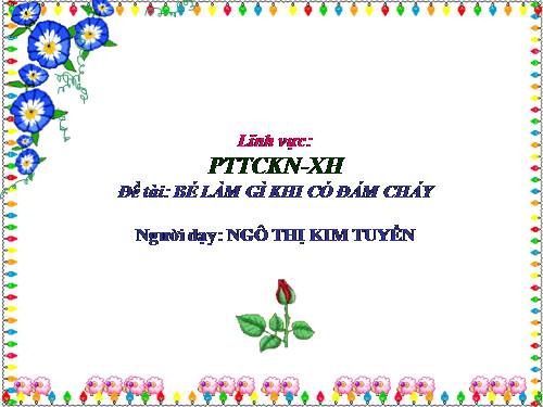 Phát triển Tình cảm, Thẩm mĩ (5 tuổi).