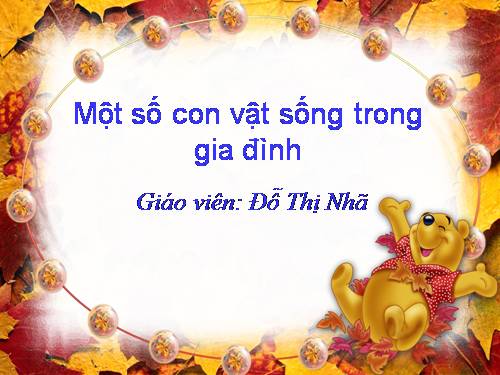 MTXQ dong vat song trong gia dinh