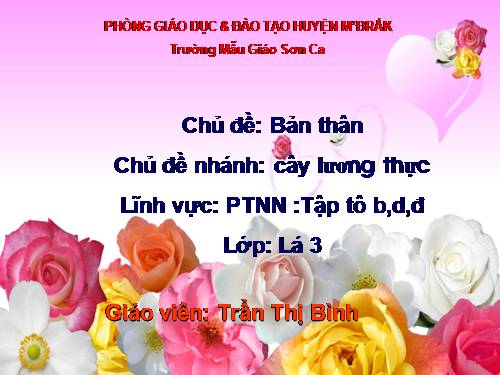 bai giang tap to chu b, d, d chu de cay luong thuc lop 5 tuoi