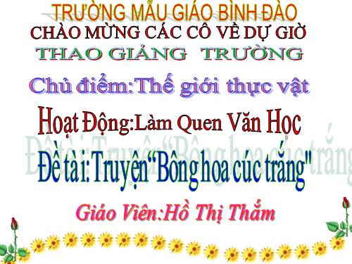 chuyện "Bông hoa cúc trắng"