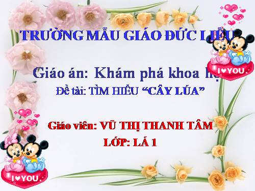 giáo án tìm hiểu cây lúa