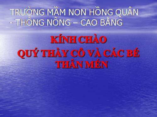 Tìm hiểu một số cây lương thực