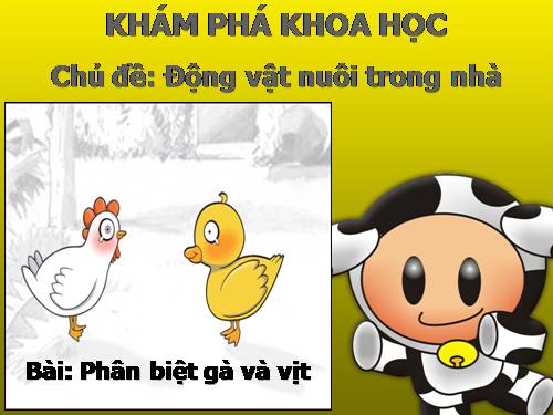 giáo án kpkh động vật sống trong nhà