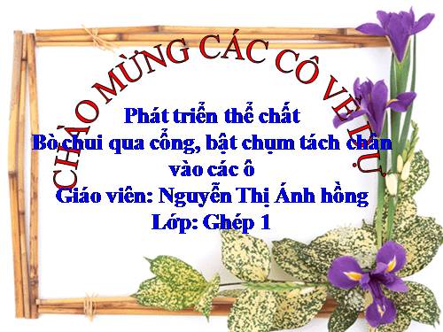 Bò chui qua cổng, bật chụm tách chân vào các ô