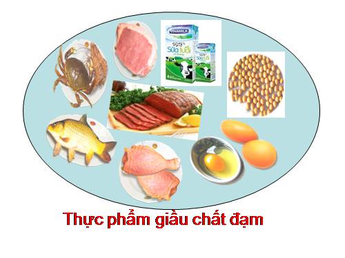 các nhóm thưc phẩm