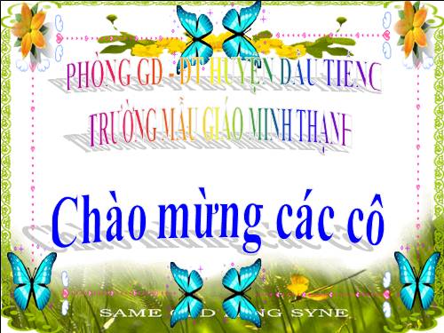 số 7