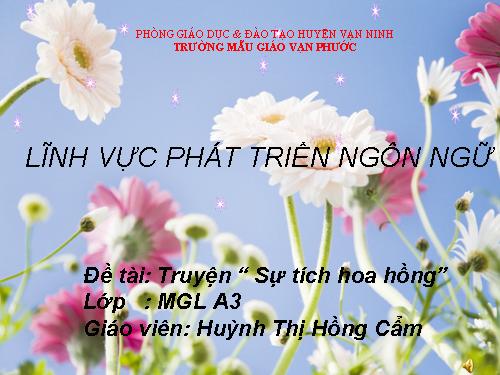 LQVH"SỰ TÍCH HOA HỒNG"