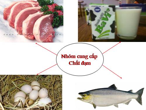 tìm hiểu 4 nhóm thực phẩm