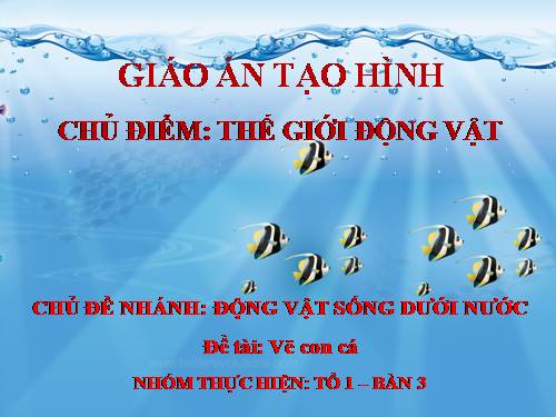 slide tao hinh - ve con ca - tiet mau - lop la