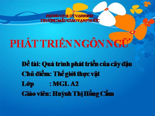 QUÁ TRÌNH PHÁT TRIỂN CỦA CÂY TỪ HẠT