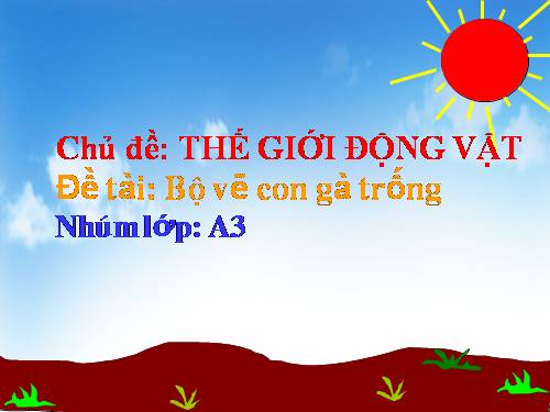 CON GÀ TRỐNG