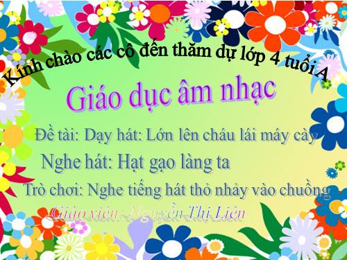 Âm nhạc chủ đề tết và mua xuân