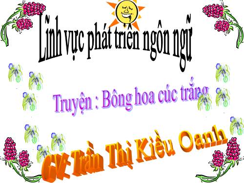 Bônh Hoa cúc Trắng