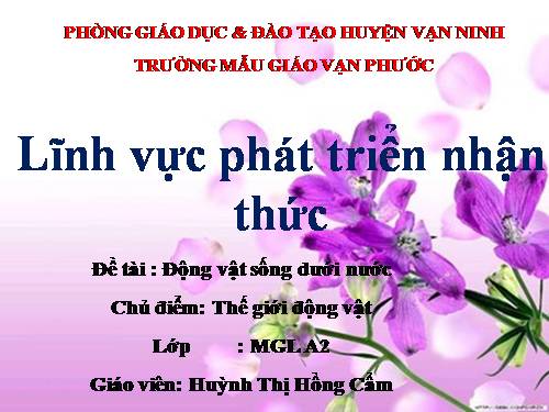 ĐỘNG VẬT SỐNG DƯỚI NƯỚC