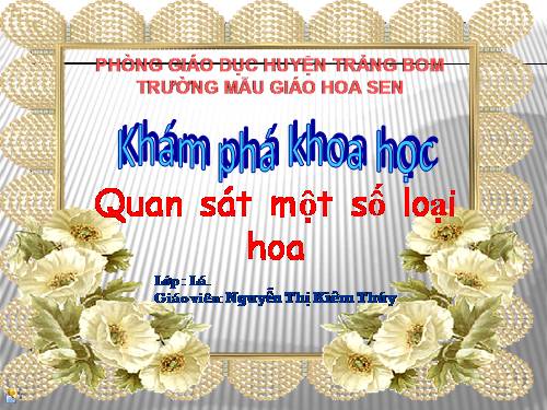 tim hieu mot so loai hoa