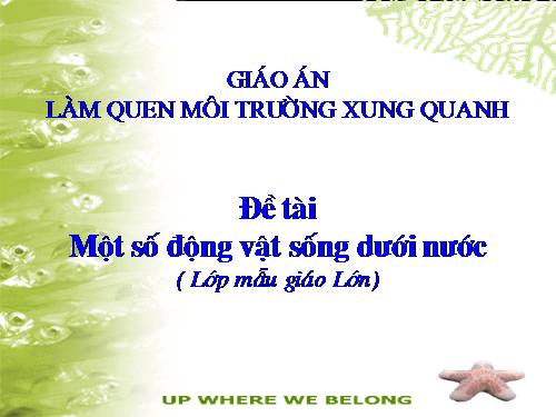 Bài giảng: Một số động vật sống dưới nước