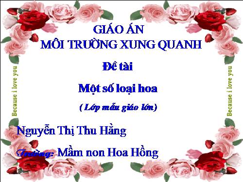 Giáo án:Một số loại hoa