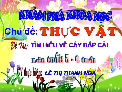 bai giảng điện tử