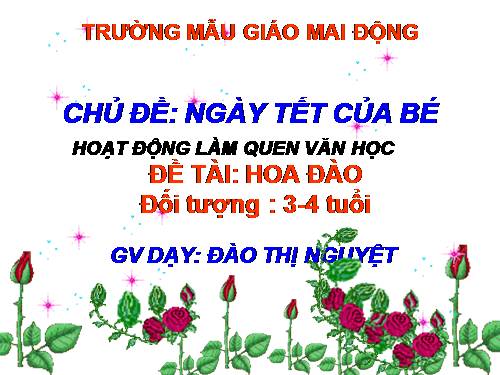 chu de tet va mua xuan