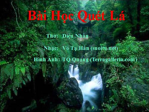 Bài học quét lá