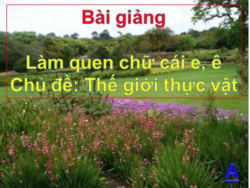 Lam quen voi chu cai e ê. Chu de the gioi thuc vat