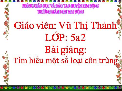 Tìm hiiểu một số loại côn trùng lớp MG 5 tuổi