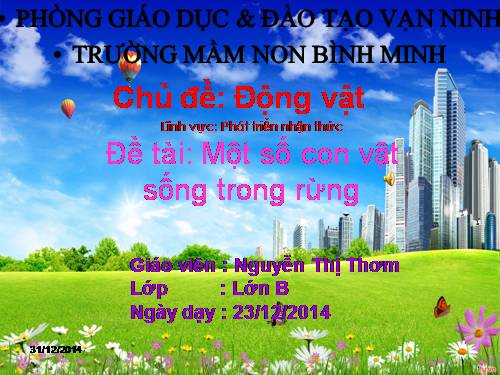 KPHK: 1 so DV song trong rung