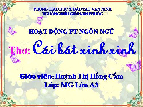 LQVH "CÁI BÁT XINH XINH"