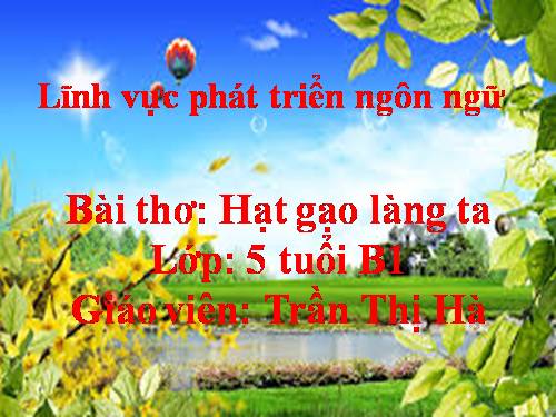 hạt gao lang ta