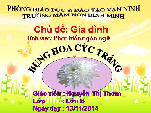 KC bông hoa cúc trắng