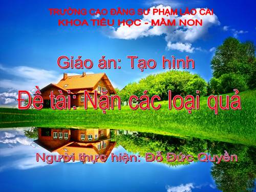 Tạo hình năn các loại quả