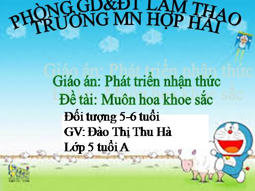 moi truong xung quanh