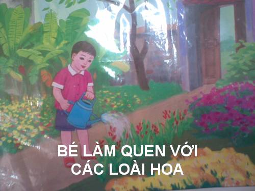 Bé làm quen với các loai hoa